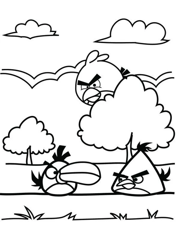 Angry birds kolorowanki do druku - Ausmalbild zum Ausdrucken