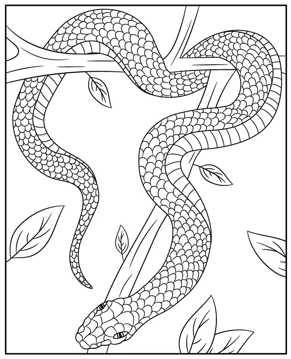 Czarna mamba kolorowanka zwierzeta afryki - Ausmalbild zum Ausdrucken
