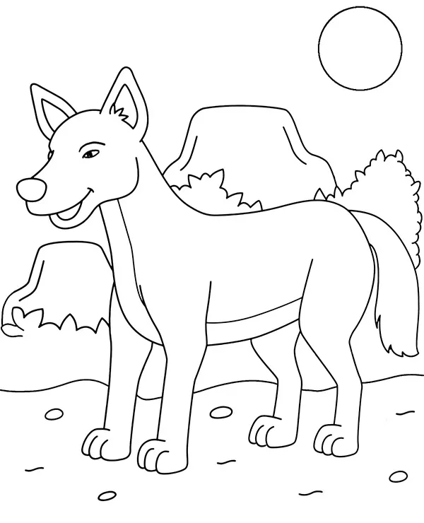 Dingo pies kolorowanka zwierzeta australii - Ausmalbild zum Ausdrucken
