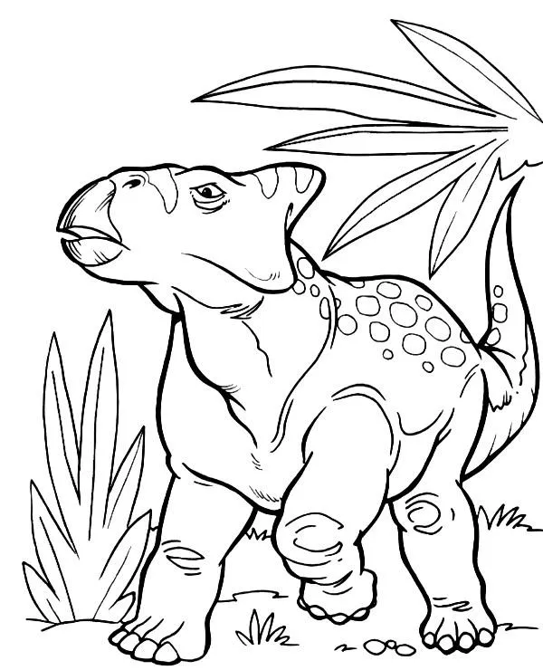 Dinosaur kolorowanka protoceratops - Ausmalbild zum Ausdrucken