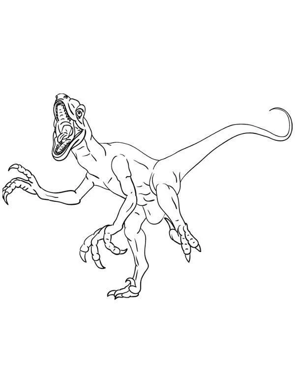 Dinozaury kolorowanka - Ausmalbild zum Ausdrucken