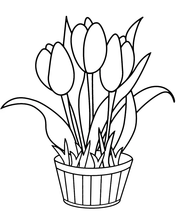 Doniczka z tulipanami malowanka - Ausmalbild zum Ausdrucken