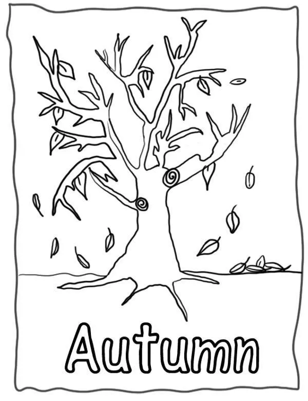 Drzewo kolorowanka - Ausmalbild zum Ausdrucken