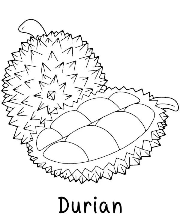 Durian kolorowanka owoce do druku