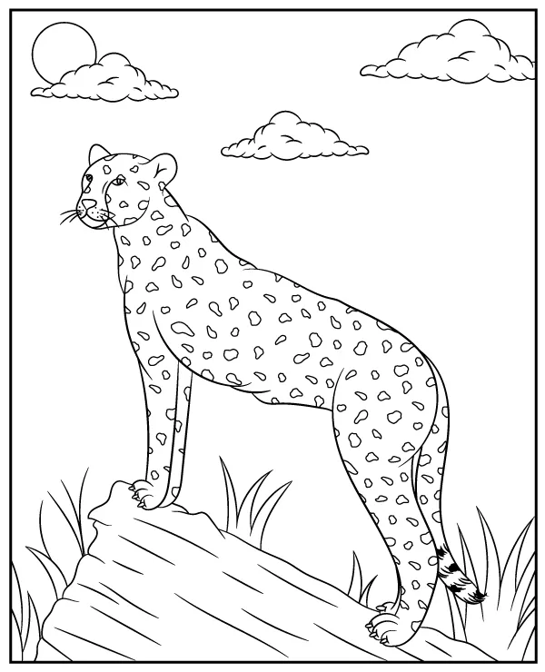 Gepard kolorowanka zwierzeta afryki - Ausmalbild zum Ausdrucken