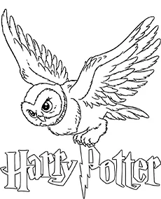 Harry potter kolorowanka sowa hedwig mobile - Ausmalbild zum Ausdrucken