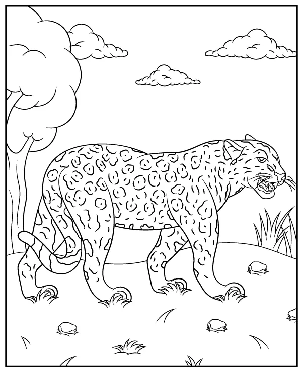 Jaguar zwierzak ameryka poludniowa - Ausmalbild zum Ausdrucken