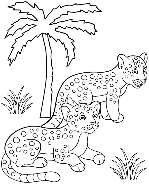 Jaguary kolorowanki ze zwierzetami - Ausmalbild zum Ausdrucken