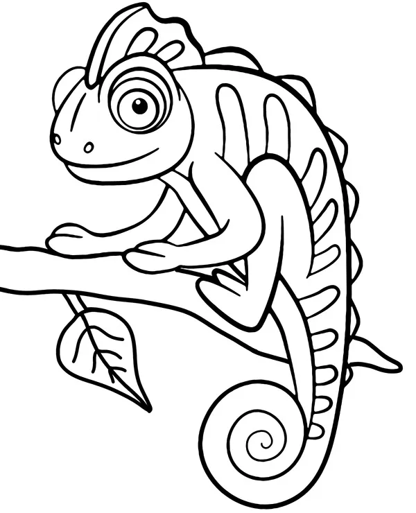 Kameleon kolorowanka zwierzeta afryki - Ausmalbild zum Ausdrucken
