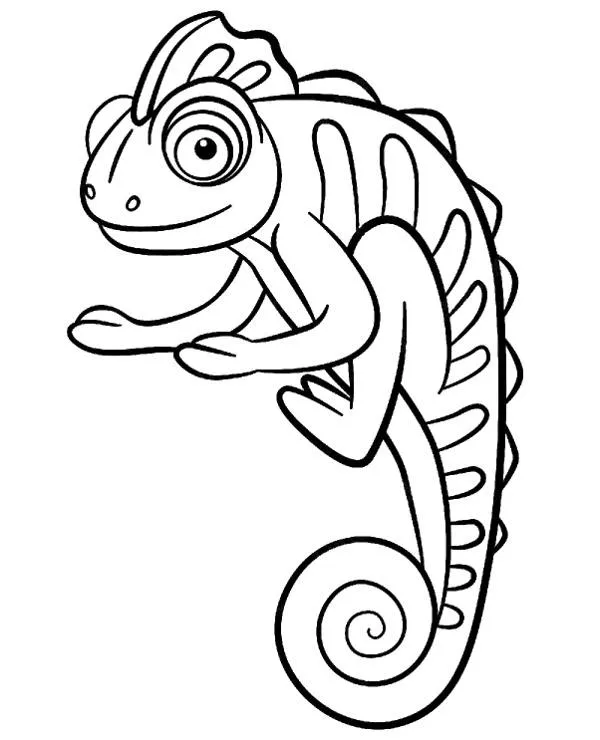Kameleon kolorowanka - Ausmalbild zum Ausdrucken
