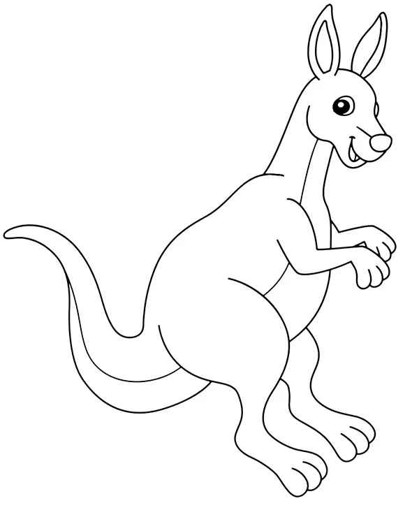 Kangur kolorowanka zwierzeta australii - Ausmalbild zum Ausdrucken