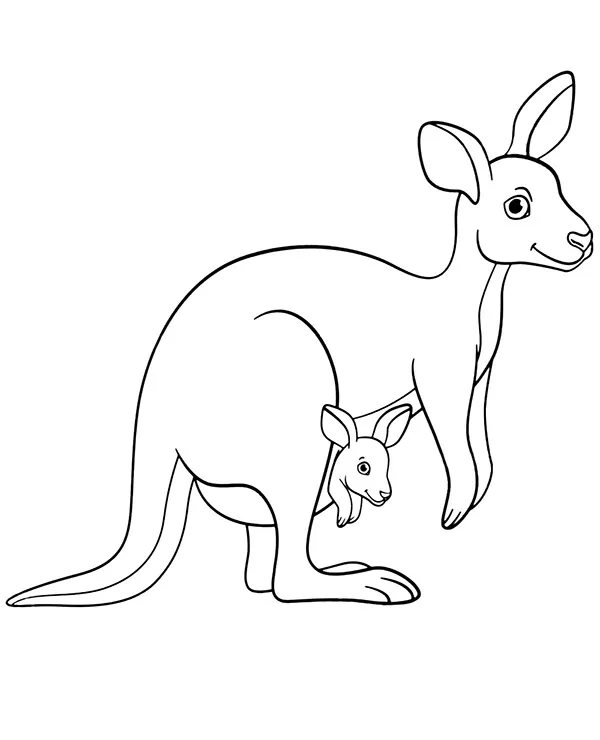 Kangury kolorowanka zwierzeta australii - Ausmalbild zum Ausdrucken