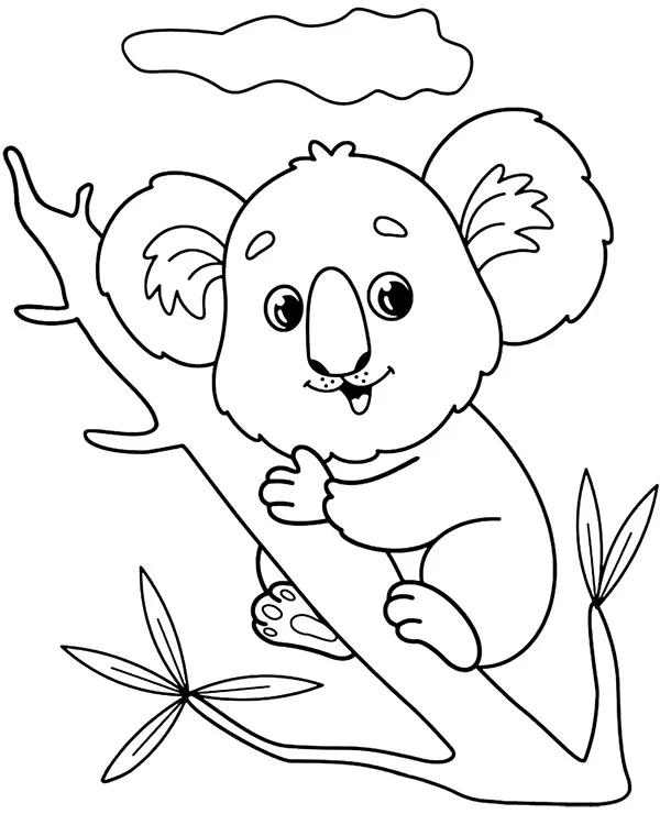 Koala kolorowanka zwierzeta australii - Ausmalbild zum Ausdrucken