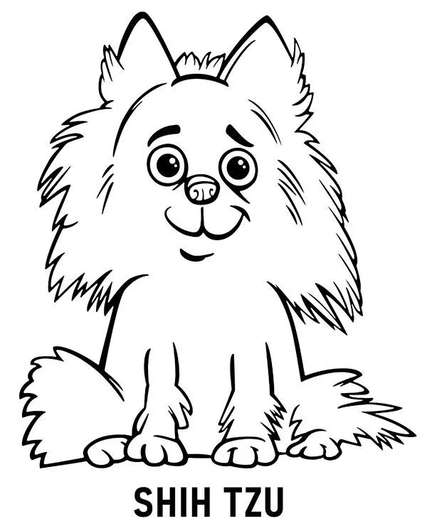 Kolorowanka rasa pies Shih tzu - Ausmalbild zum Ausdrucken