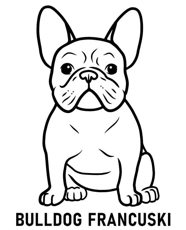 Kolorowanka rasa pies bulldog francuski - Ausmalbild zum Ausdrucken