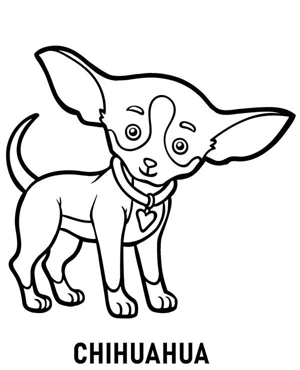 Kolorowanka rasa pies chihuahua - Ausmalbild zum Ausdrucken
