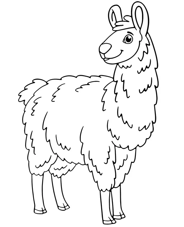 Lama kolorowanka zwierzeta ameryki poludniowej - Ausmalbild zum Ausdrucken