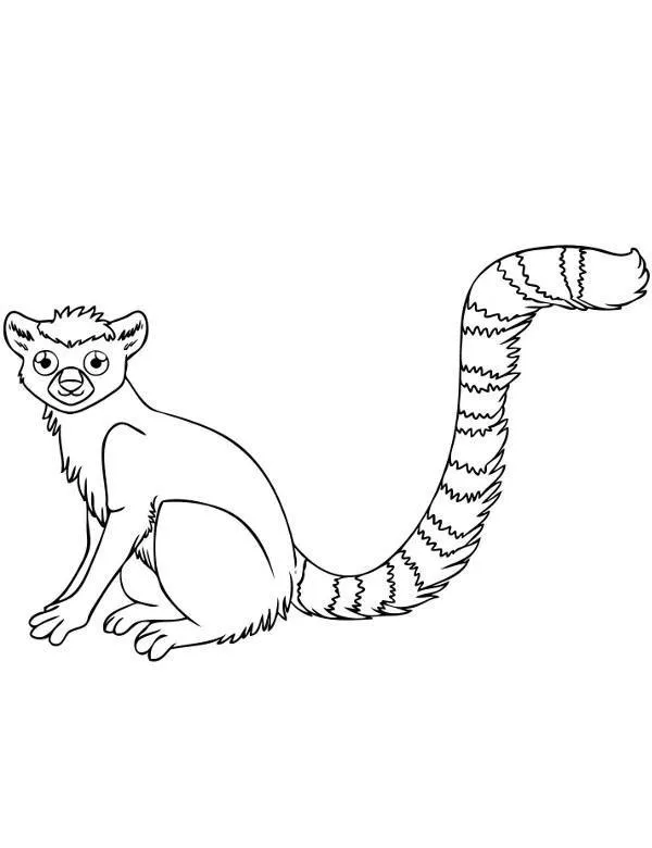 Lemur kolorowanka do druku