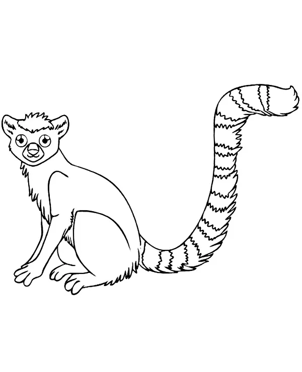 Lemur kolorowanka zwierzeta afryki - Ausmalbild zum Ausdrucken