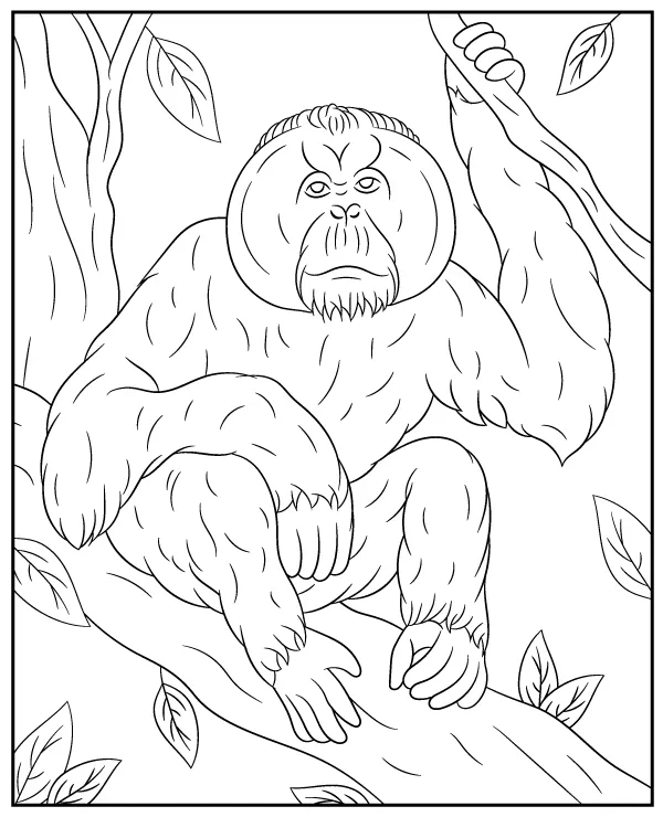 Malpa orangutan kolorowanka zwierze azja - Ausmalbild zum Ausdrucken