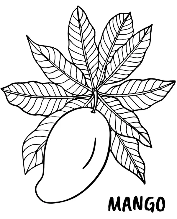 Mango kolorowanka do druku owoc - Ausmalbild zum Ausdrucken