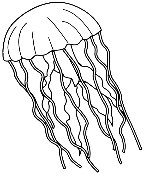 Meduza kolorowanka do wydruku - Ausmalbild zum Ausdrucken