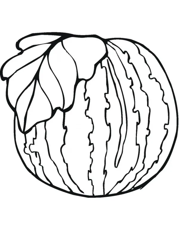 Melon kolorowanki owoce dla dzieci