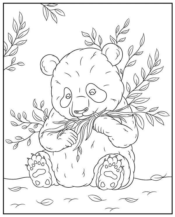 Mis panda kolorowanka zwierze azja - Ausmalbild zum Ausdrucken