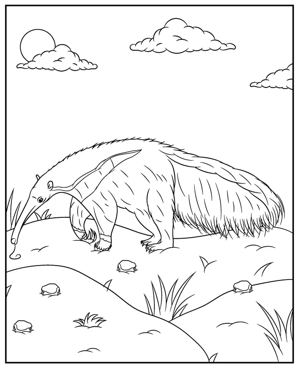 Mrowkojad kolorowanka zwierzak ameryka poludniowa - Ausmalbild zum Ausdrucken