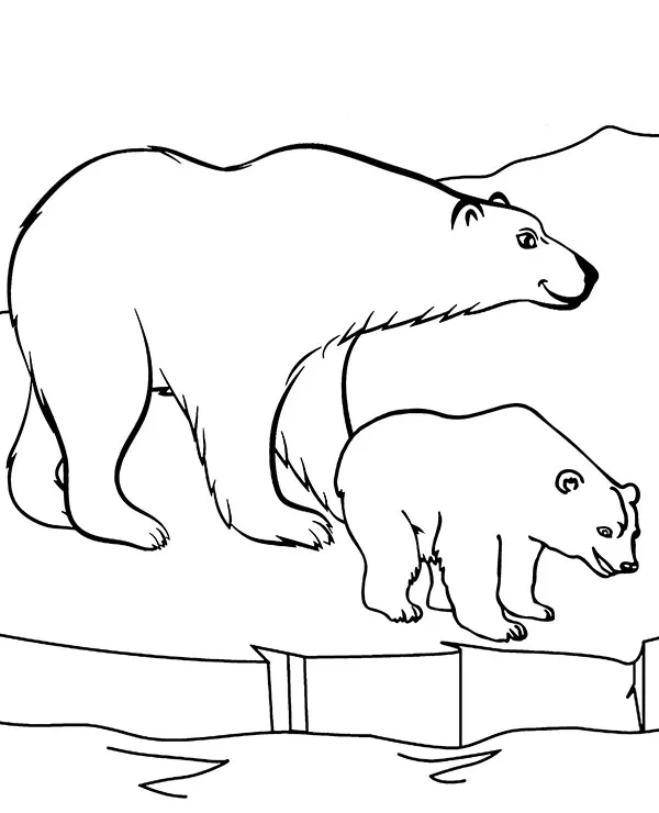 Niedzwiedz polarny kolorowanki dzikie zwierzeta - Ausmalbild zum Ausdrucken
