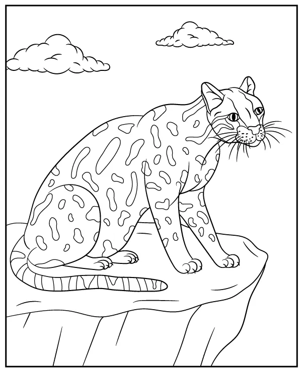 Ocelot zwierzak ameryka poludniowa - Ausmalbild zum Ausdrucken