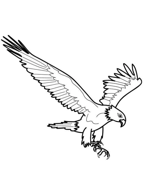 Orzel malowanka - Ausmalbild zum Ausdrucken