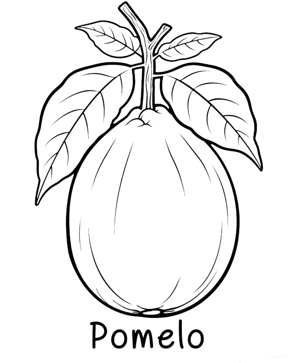 Pomelo kolorowanka owoce do druku