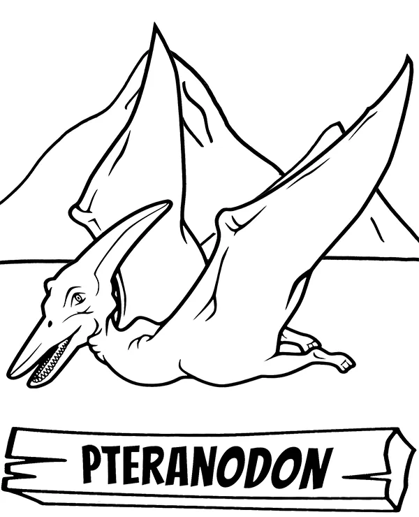 Kolorowanka - Pteranodon kolorowanka do druku dla dzieci