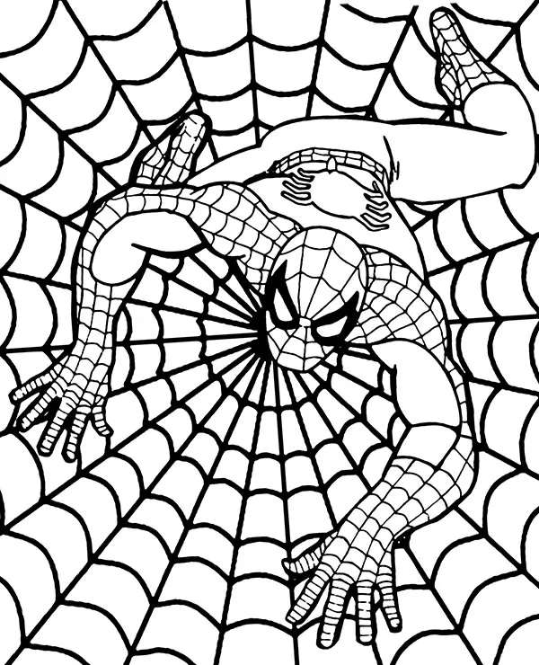 Sieć Spidermana kolorowanka dla dzieci