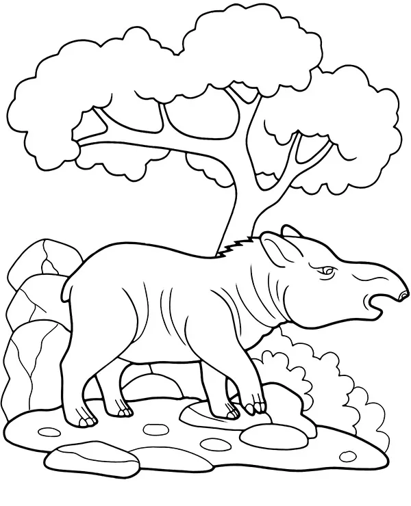 Kolorowanka do druku Tapir zwierzęta Azji