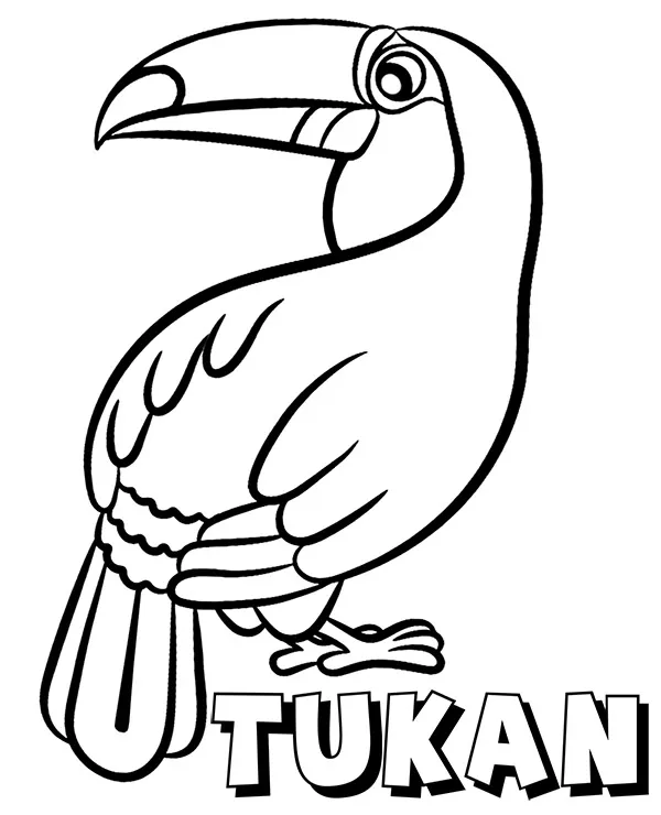 Tukan kolorowanka do druku