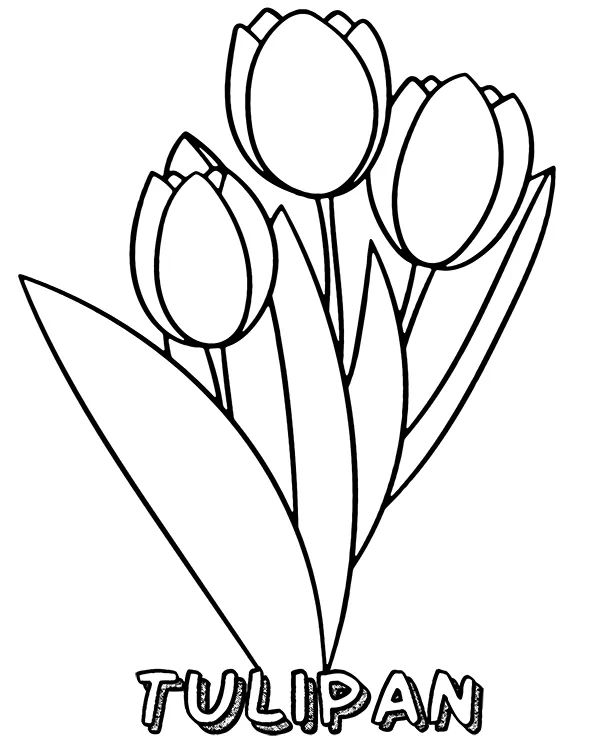 Tulipany kolorowanka do druku