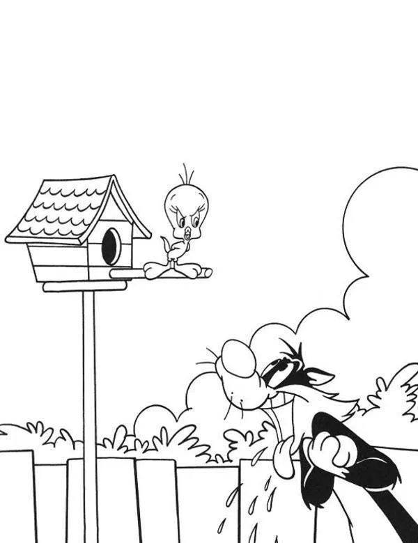 Tweety kotek kolorowanka do druku dla dzieci