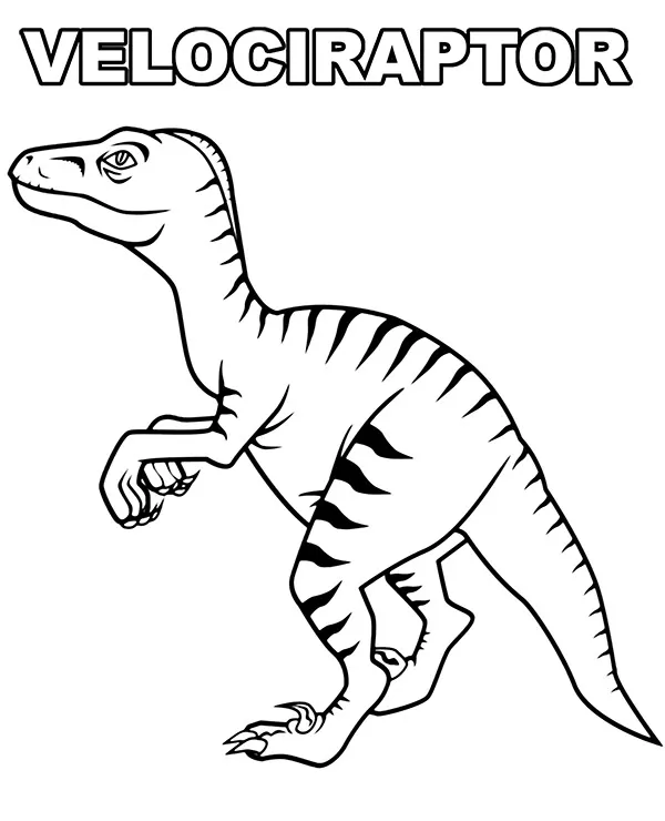 Velociraptor dinozaur kolorowanka do druku