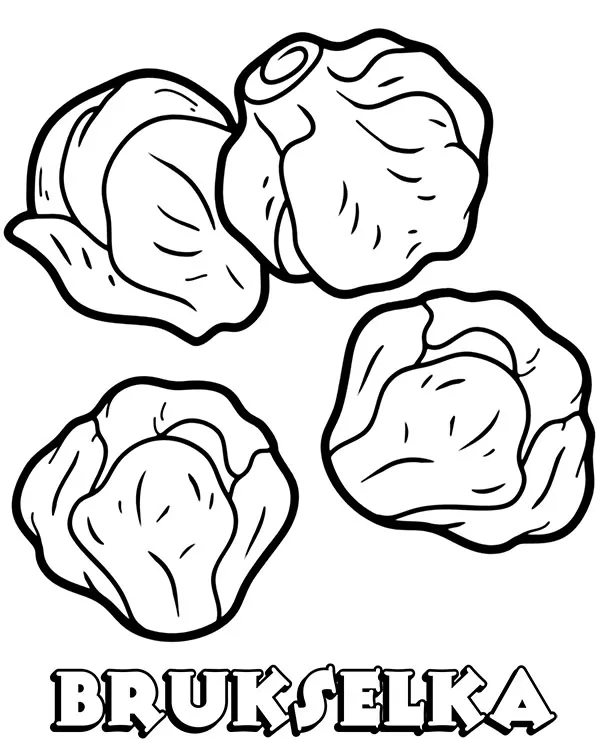 Warzywa kolorowanka brukselka dla dzieci