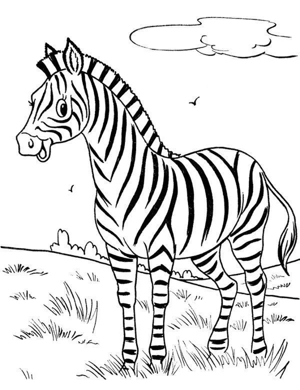 Kolorowanka - Kolorowanka zebra do druku dla dzieci