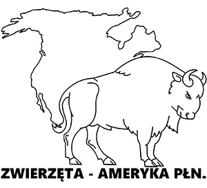 Kolorowanka do druku Zwierzęta Ameryki Północnej