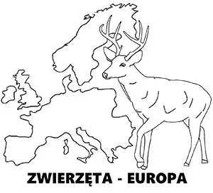 Kolorowanka Zwierzęta Europy do druku